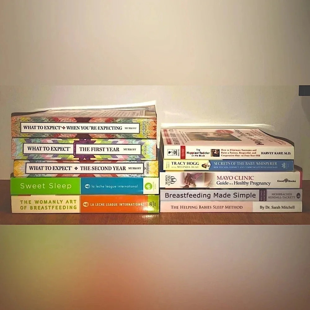 10  Pregnancy & Parenting Book Lot
